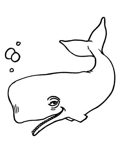 Kleurplaat Walvis Leukekleurplaten.nl