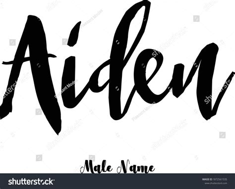 Aidenmale Name Bold Cursive Calligraphy Typeface Stock Vector Royalty