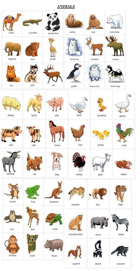 Tarjetas De Animales En Inglés Animals Flash Cards Apprendre L