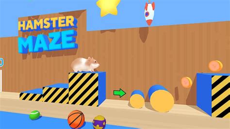 Hamster Maze For Pc Download And Install In 3 Simple Steps In 2021