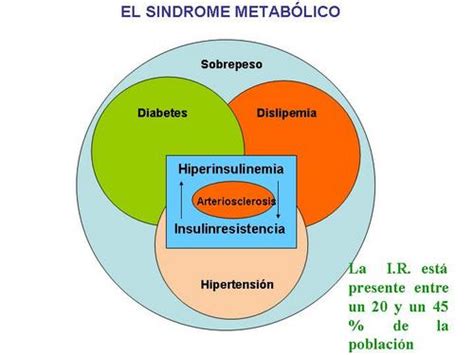 Hormona Insulina Hiperinsulinismo