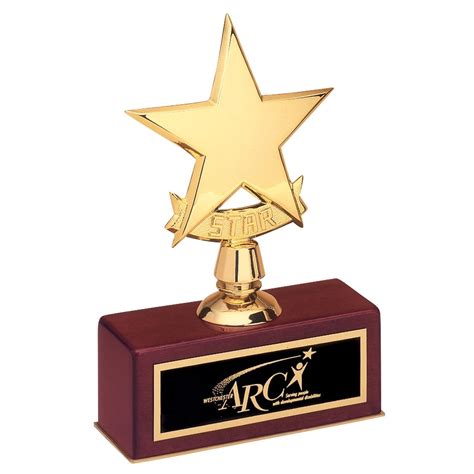 Engraved Small Gold Star Awards