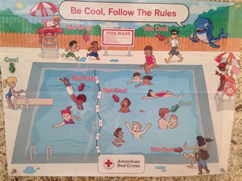 ‘super Racist Pool Safety Poster Prompts Red Cross Apology The