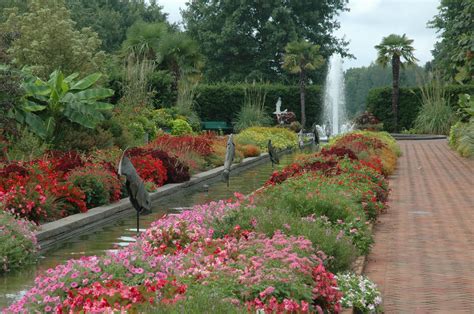 Botanical Gardens North Carolina Best In Charlotte Nc Beautiful Flower