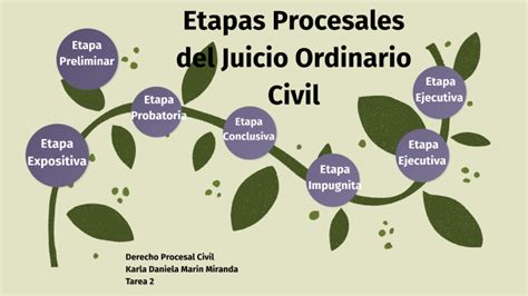 Etapas Procesales Del Juicio Ordinario Civil By Karla Daniela Marín
