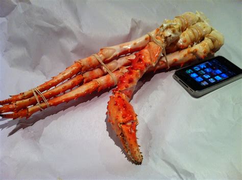 Giant Crab Legs From Coles