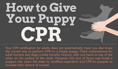 Mad About Pets Infographic Guide To Puppy Cpr
