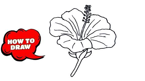 Easy To Draw Hibiscus Flower Eveliza Tumisma
