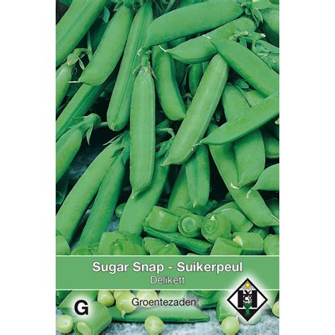 Sugar Snap Pisum Sativum Delikett 50 Gr Seeds