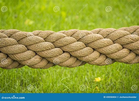 Thick Rope Stock Photo Image Of Twisted Copy Twirled 43058404