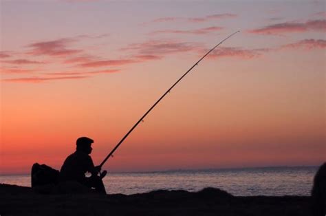 El robalo: Consejos para una pesca segura