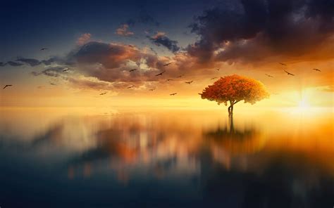 Download Wallpaper 3840x2400 Tree Horizon Sunset Photoshop Sea 4k