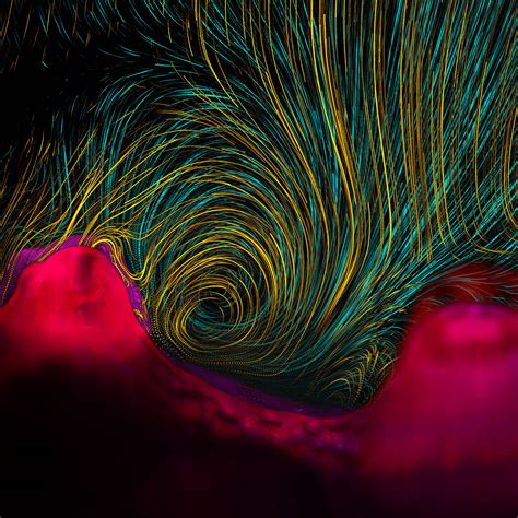 2013년 최고의 과학 사진 산호가 만드는 바닷물 소용돌이