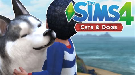 Doggo Attack The Sims 4 Cats And Dogs Episode 28 Youtube