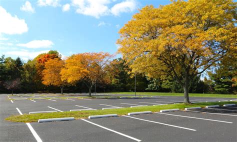5 Ways To Make Your Parking Lot Eco Friendly