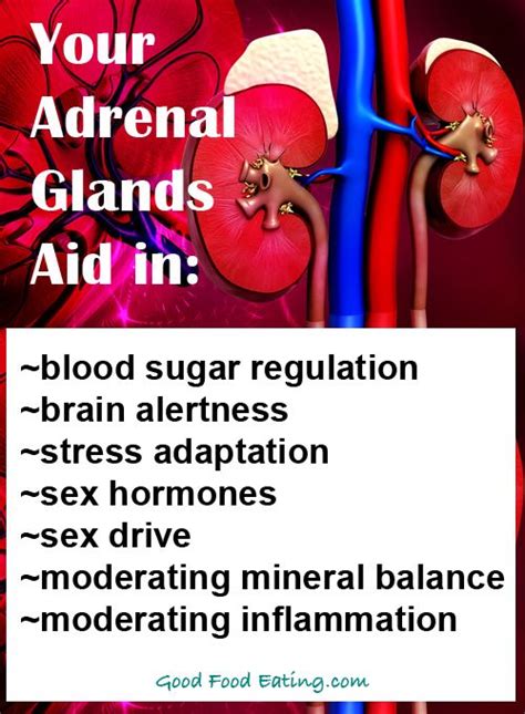 What Do Adrenal Glands Produce