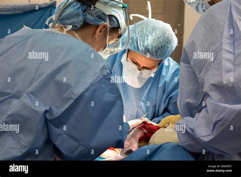 Surgeons Perform A Hysterectomy On A Woman With Endometrial Cancer