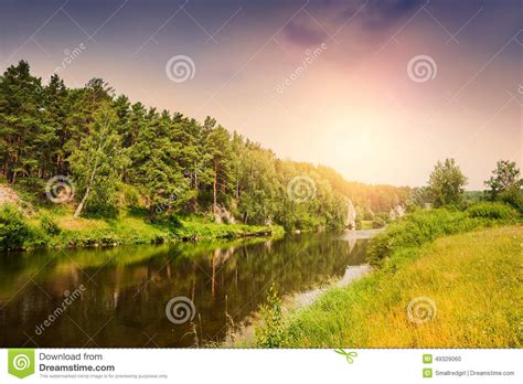 Forest River At Sunset Stock Photo Image Of Silence