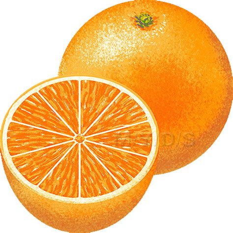 Oranges Clipart Free 20 Free Cliparts Download Images On Clipground 2023