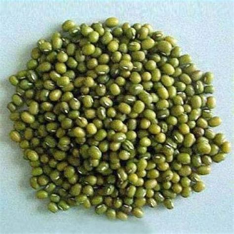 Green Moong Dal At Best Price In Salem By Royal Exports And Imports Id