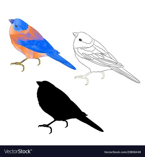 Bluebird Small Thrush Bird Outline And Silhouette Vector Image