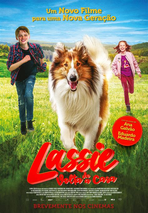 Filme Lassie De Volta A Casa Uma Nova Aventura Pumpkinpt