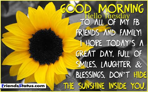 Memes are almost everywhere on facebook, instagram, twitter, and whatsapp groups, and rarely does a day elapse before coming across one. Good Morning, Hello Tuesday To All My FB Friends And ...
