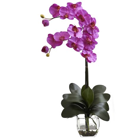 Double Orchid Phal Orchid w/Vase Arrangement | Orchid vase ...