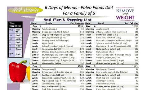Dr Nowzaradan Diet And Diet Plan For Weight Loss Realitystarfacts