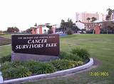 Images of Cancer Survivor Park