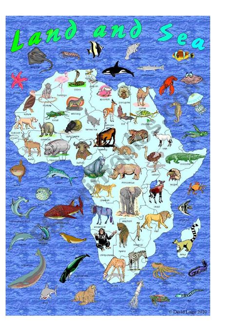 I Spy Land And Sea African Animals And Ocean Creatures
