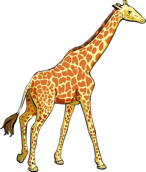 A Cartoon Giraffe Is Walking With Its Head Turned To The Side And Its