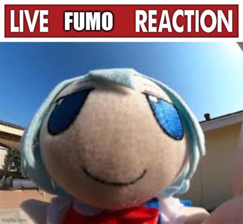Image Tagged In Live X Reaction Fumo Imgflip