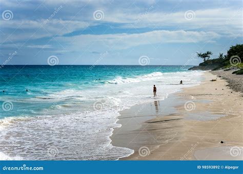 Beautiful Tropical Beach In Barbados Editorial Photography Image Of