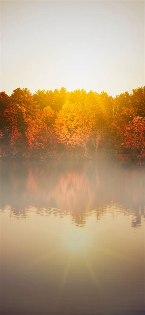 Trees Beside Body Of Water During Day Iphone X Wallpapers Free Download