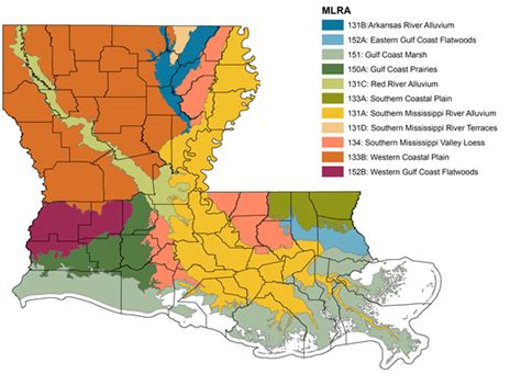 An Overview Of Louisiana Soils