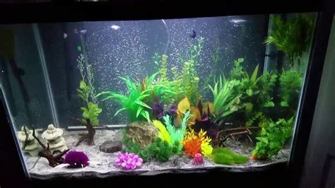 65 Gallon Aqueon Fish Tank Setup Youtube