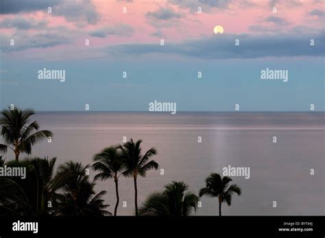Moon Setting Over Ocean With Palm Trees Maui Hawaii Stock Photo Alamy