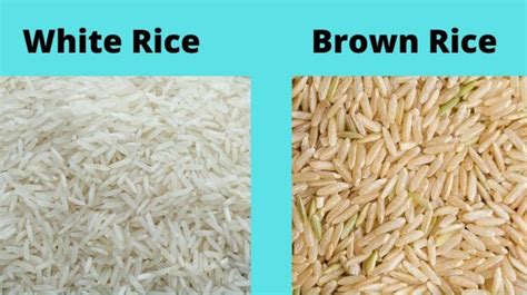 Best Brown Rice Brands In India In 2023 With Amazing Quality