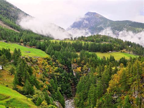 Scenery Switzerland Mountains Forests Grasslands Nature 411073