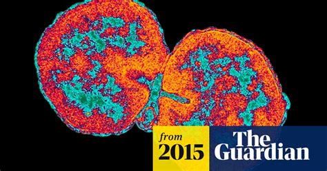 Drug Resistant Gonorrhoea Outbreak Sparks England Wide Alert Sexual Health The Guardian