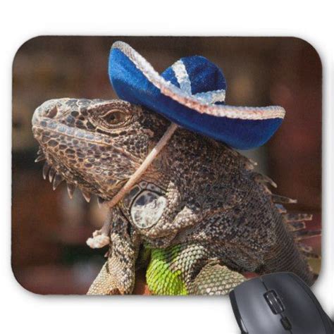 Iguana Wearing A Sombrero In Cabo San Lucas Mouse Pad Mouse Pad