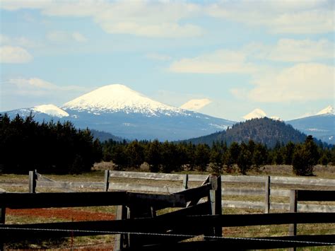 Moosejaw rewards you earn mj$10 for every $100 you spend on moosejaw.com or at our shops (mj$2.50 for discounted items). Oregon Gifts of Comfort and Joy: The Online Diary of a ...