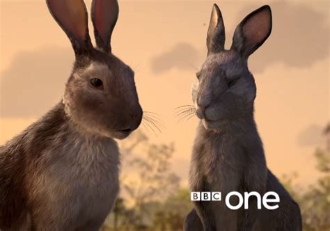 Netflixs ‘watership Down Miniseries Is Worth Watching Even For Kids
