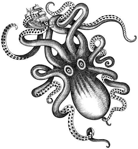 The Kraken Kraken Tattoo Vintage Octopus Kraken