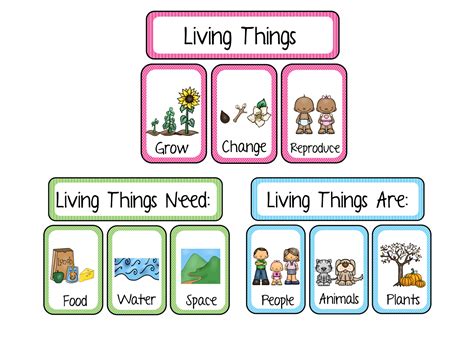 Living And Nonliving Worksheets