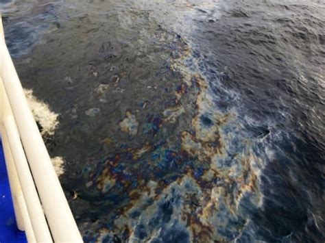 Pcg Says Pola Local Govt Eyeing Suit Due To Oil Spill Inquirer News