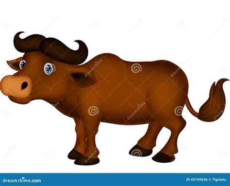 Cute Buffalo Cartoon Stock Vector Illustration Of Muscle 45749656