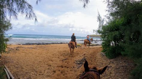 Horseback Riding On Kauai With Cjm Country Stables Ten Digit Grid