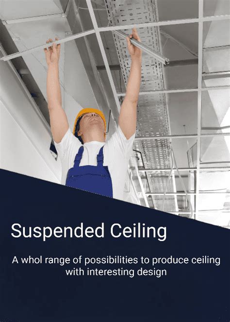 Suspended Ceiling Tiles Two Birds Home